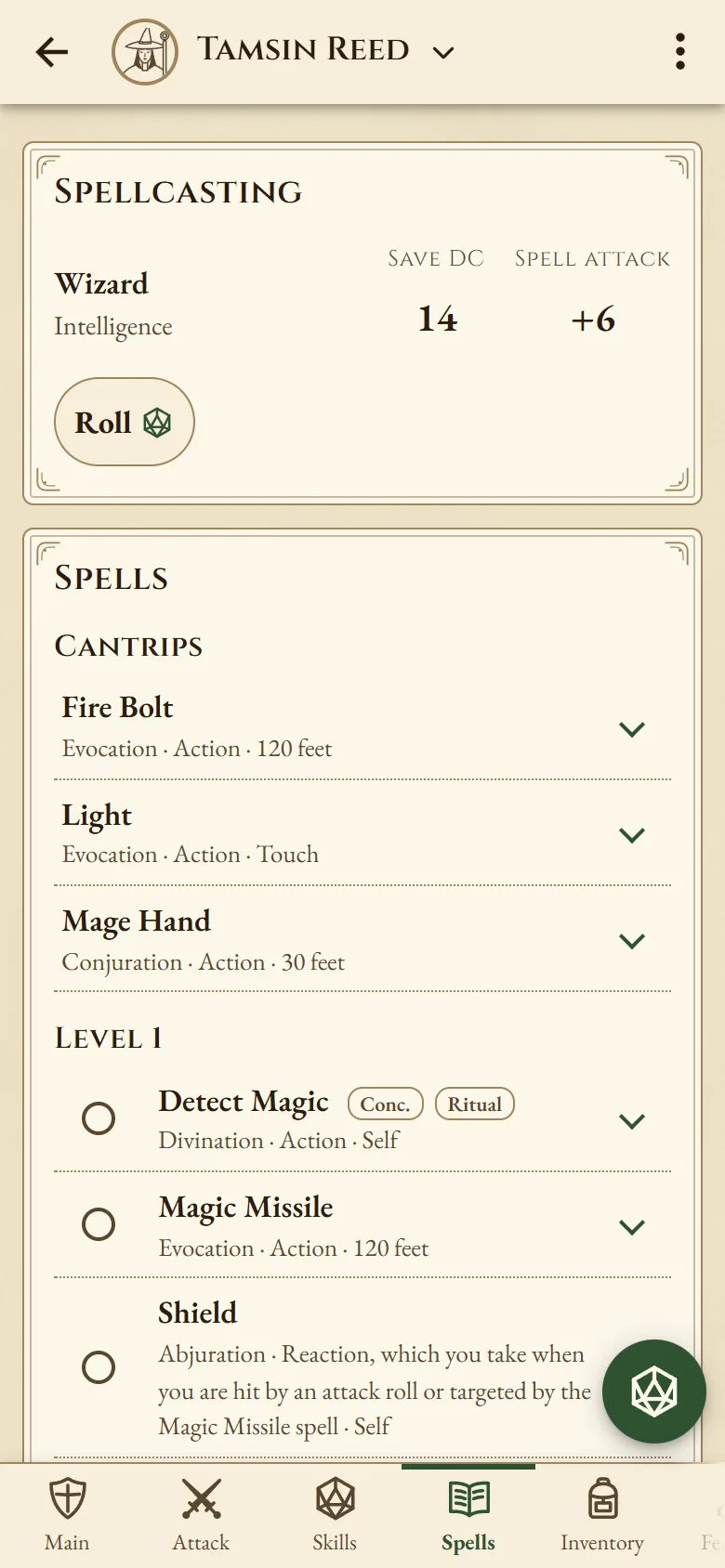 A wizard's spells: spell save DC 14, spell attack +6, and cantrips and first-level spells such as Fire Bolt, Magic Missile and Shield.